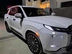 هیۆندای پالیسەید